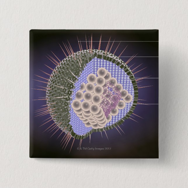 Herpes Virus Structure 2 Inch Square Button (Front)