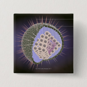 Herpes Virus Structure 2 Inch Square Button