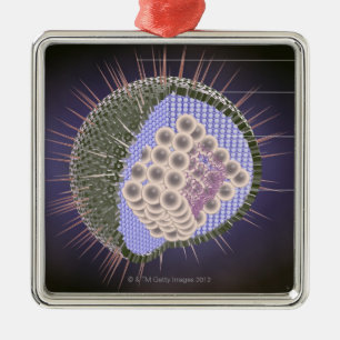 Herpes Virus Structure Metal Ornament