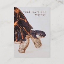 Herpetologist Two-Sided