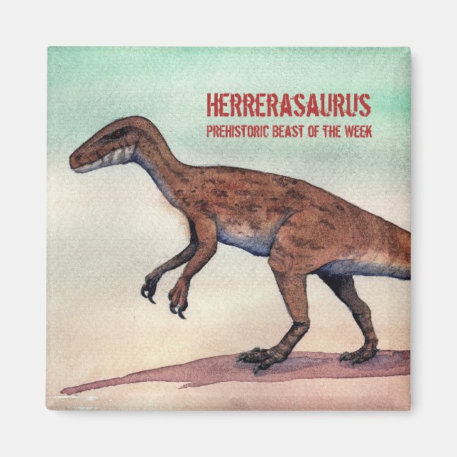 Herrerasaurus Magnet (Front)