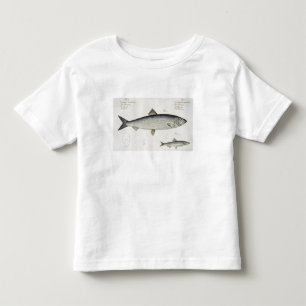 Herring (Clupea Harengus) (Fig. 1) and Sprat (Clup Toddler T-shirt