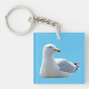 Herring Gull Sunbathing  Keychain