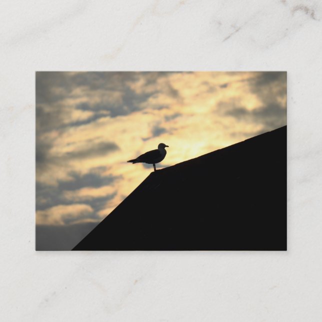 Herring Gull Sunset Business Card (Front)