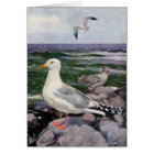 Herring Gulls on Rocky Shoreline