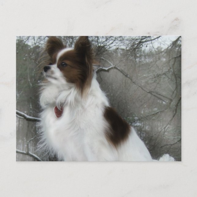 Hershey Kiss Hero Kennel Postcard (Front)