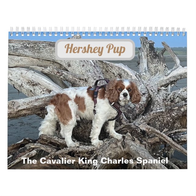 Hershey Pup Cavalier King Charles Spaniel Calendar (Cover)