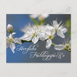 Herzliche Frühlingsgrüße Postcard