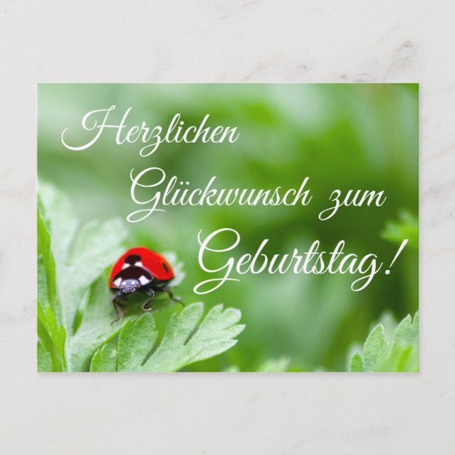 Herzlichen Glückwunsch zum Geburtstag! Postcard (Front)