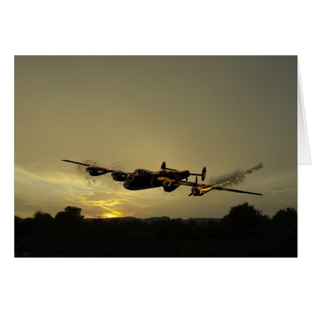 Hespérie de haies Lancaster. (Devant horizontal)