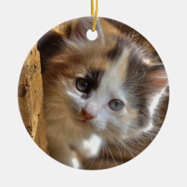 Heterochromia Calico Kitten Ceramic Ornament (Front)