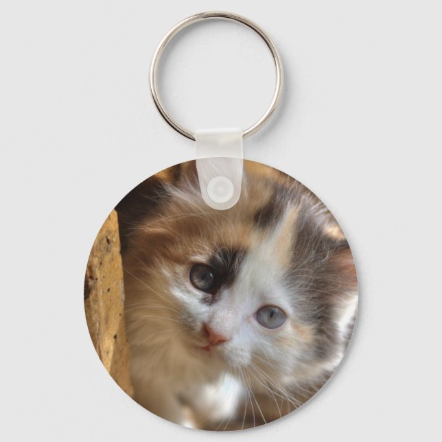 Heterochromia Calico Kitten Keychain (Front)