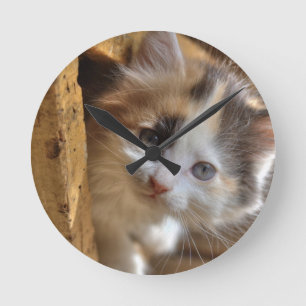 Heterochromia Calico Kitten Round Clock