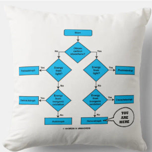 Heterotroph Flow Chart You Are Here Biology Humour Throw Pillow