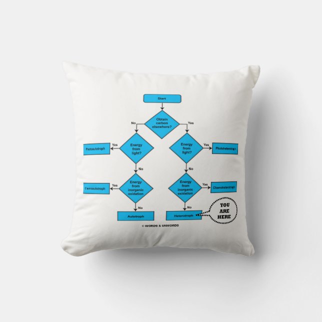 Heterotroph Flow Chart You Are Here Biology Humour Throw Pillow (Front)