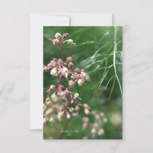 Heuchera Flower Card