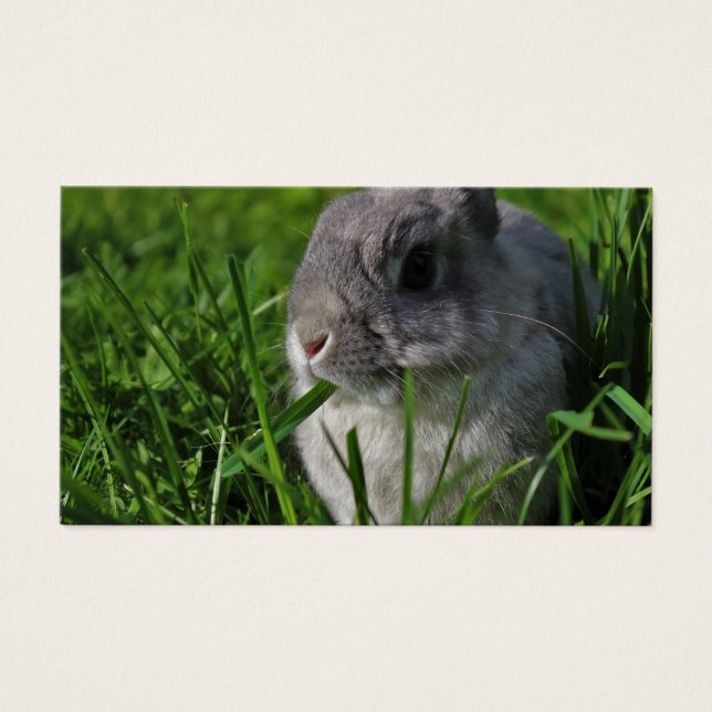 Heure de la collation (Devant)