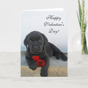 Heureuse Sainte-Valentin Labrador carte chien