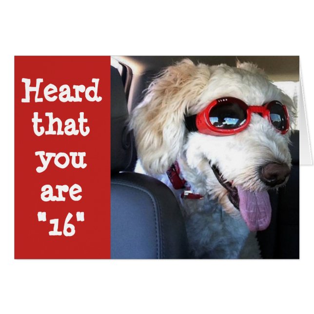 HEUREUX **16ème ANNIVERSAIRE**TEMPS DE CÉLÉBRER!!! (Devant horizontal)