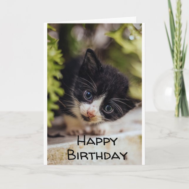 **HEUREUX 7ème anniversaire de KITTY** Carte (Devant)