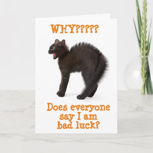*HEUREUX HALLOWEEN** DE TOUTE LA CARTE CHAT HALLOW (Devant)