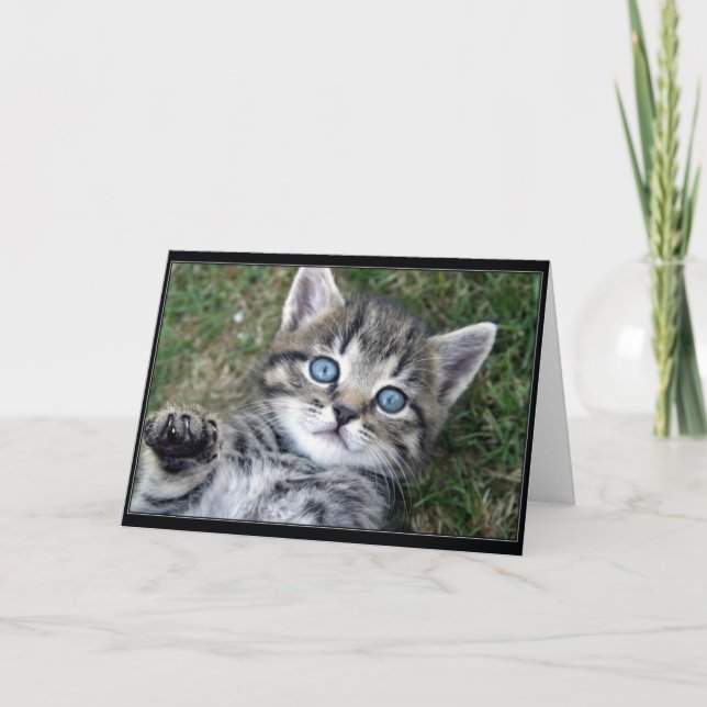 "Hewwo" Kitty Card (Front)