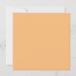 Hex Colour #FABA77, Brandy Holiday Card