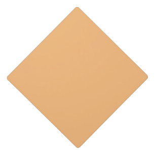 Hex Colour #FABA77, Hit Pink Tassel Topper