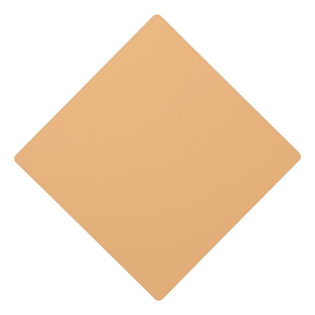 Hex Colour #FABA77, Hit Pink Tassel Topper (Front)