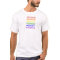 Hexadecimal Gay Flag Coloured