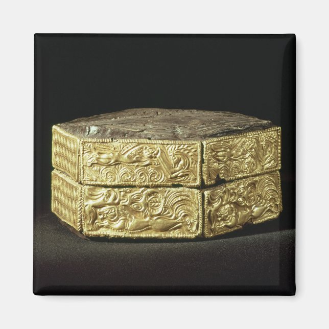 Hexagonal pyxis decorated with animals magnet (Front)