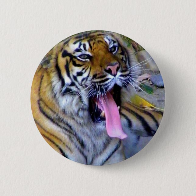 Hey_ 2 Inch Round Button (Front)