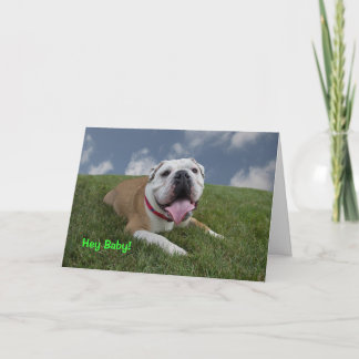 Hey Baby! Bulldog Birthday Card