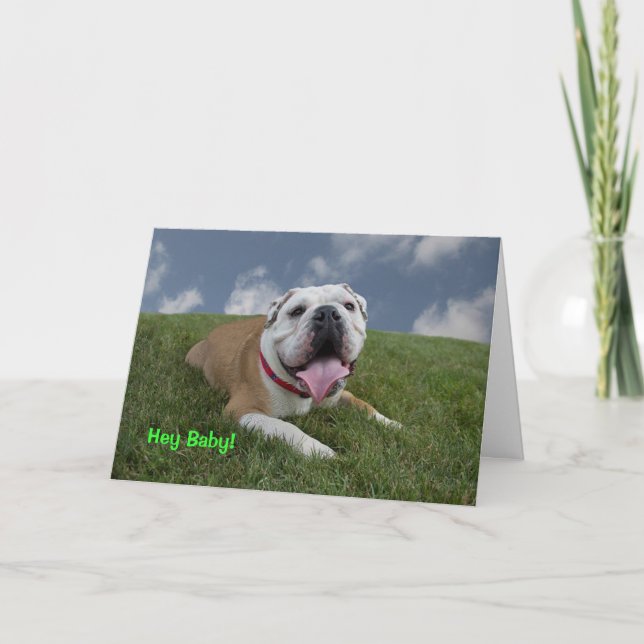 Hey Baby! Bulldog Birthday Card (Front)