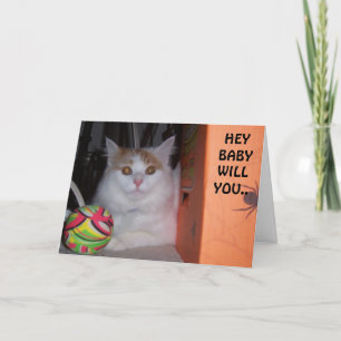 HEY BABY, WILL YOU BE MY VALENTINE SAYS KITTEN HOLIDAY CARD