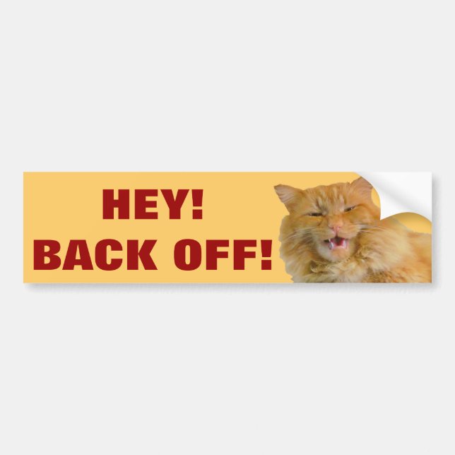 Hey! Back Off! With Big Orange Cat Bumper Sticker (Front)