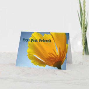 Hey Best Friend! cards Orange Poppy Flowers Card