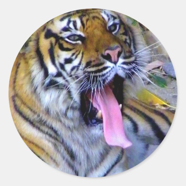 Hey_ Classic Round Sticker (Front)