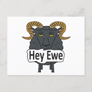 Hey Ewe Funny Sheep Pun Postcard