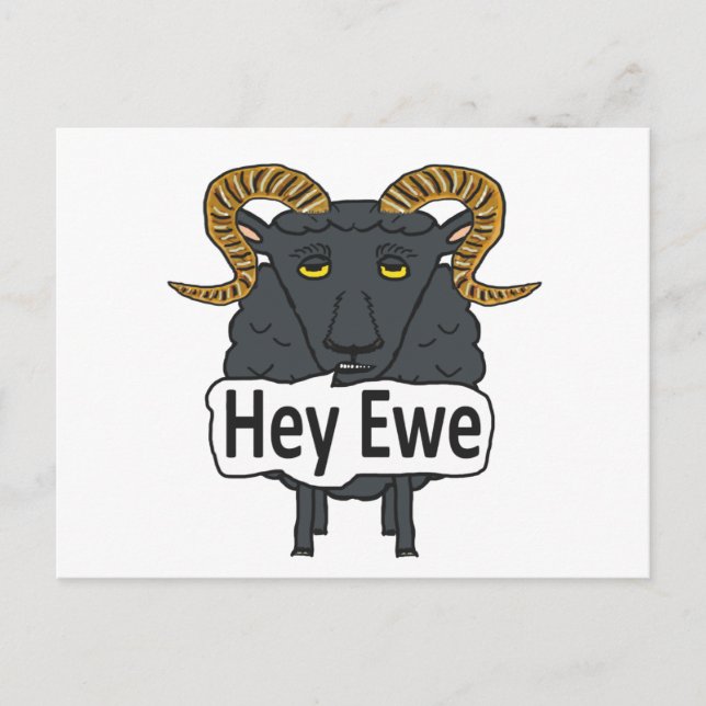 Hey Ewe Funny Sheep Pun Postcard (Front)