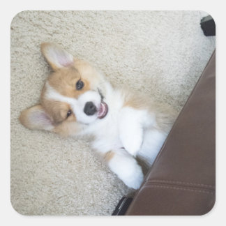 hey girl square sticker