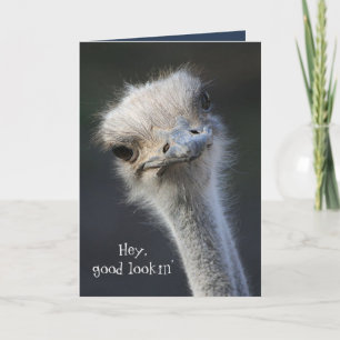 Hey good lookin' all occasion thank you card