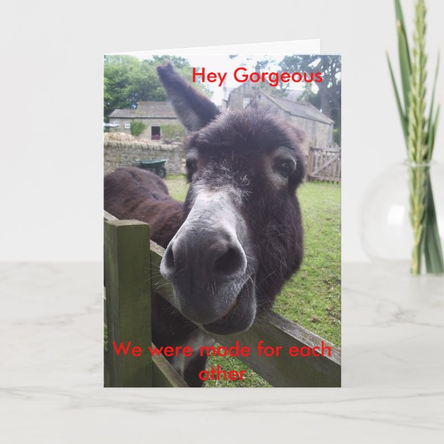 , Hey Gorgeous, Holiday Card (Front)