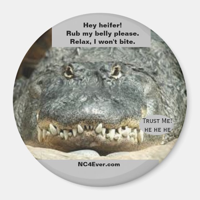Hey heifer! Rub my belly please. fun gator magnet (Front)