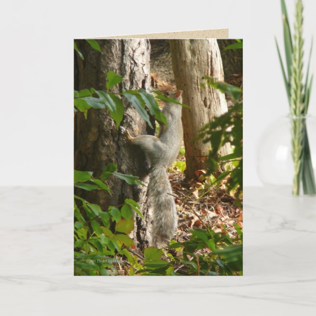 Hey I'm Hydin Card (Front)