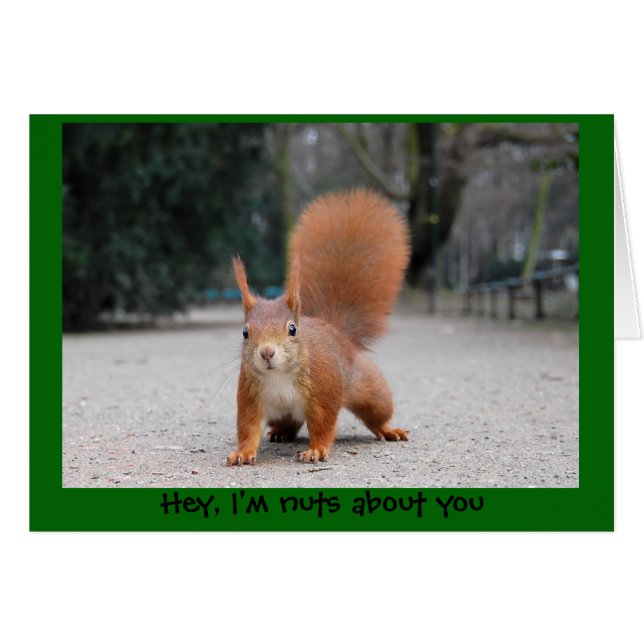 Hey, I'm nuts about you (Front Horizontal)