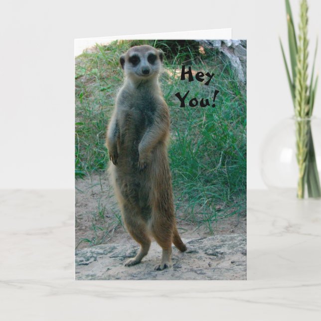 Hey, Meerkat Carte d'anniversaire (Devant)
