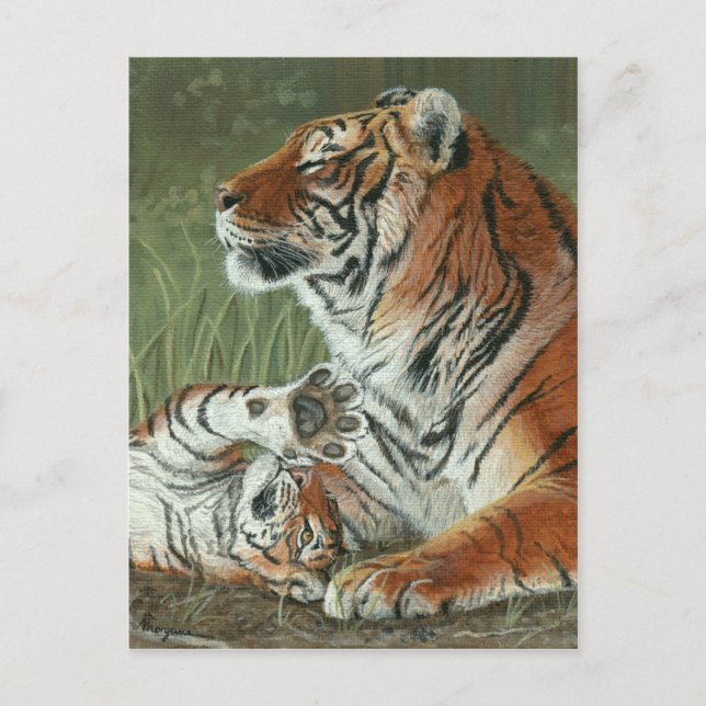 Hey Mom Wake Up! Tiger cub and mother postcard (Front)