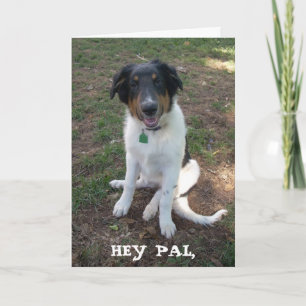 HEY PAL, Bonne carte d'anniversaire
