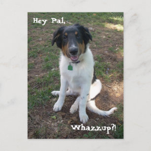 Hey Pal, Whazzup ? ! Carte postale